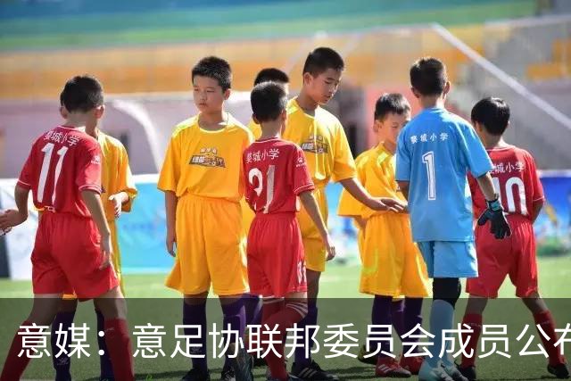 意媒：意足协联邦委员会成员公布，马洛塔和基耶利尼等人全员留任